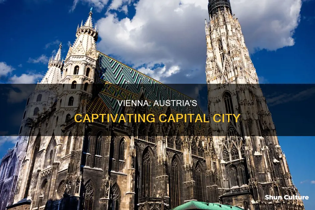 is vienna the capital of austria