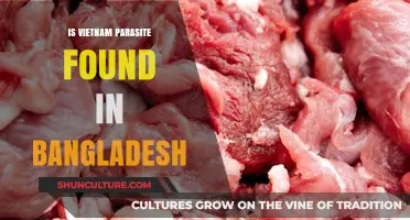 Is Vietnam's Parasite Spreading to Bangladesh? A Health Concern