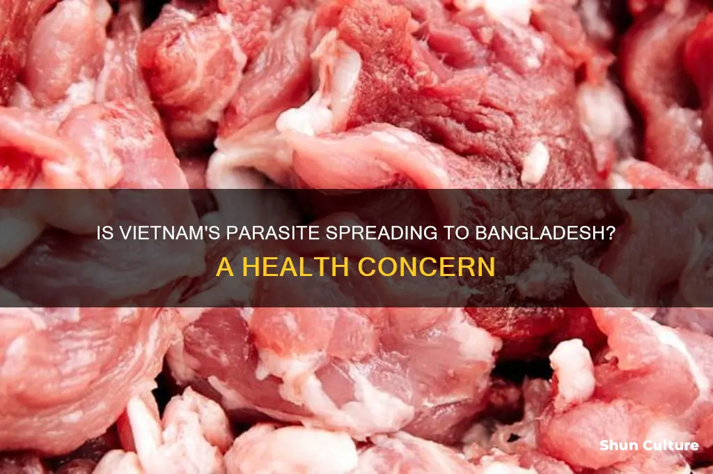 is vietnam parasite found in bangladesh