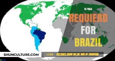 Do You Need a Visa for Brazil? Travel Requirements Explained
