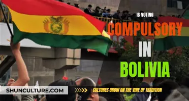 Bolivia's Compulsory Voting Law: Democracy or Duty?