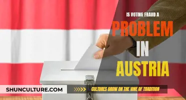 Voting Fraud in Austria: Is It a Concern?