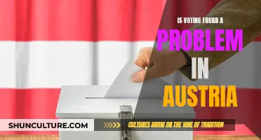 Austria's Electoral Integrity: Is Voting Fraud a Concern?