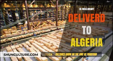 Does Walmart Deliver to Algeria? Exploring Shipping Options and Alternatives