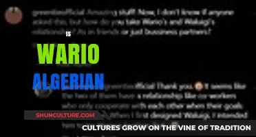 Is Wario Algerian? Unraveling the Origin Mystery of Nintendo's Iconic Villain