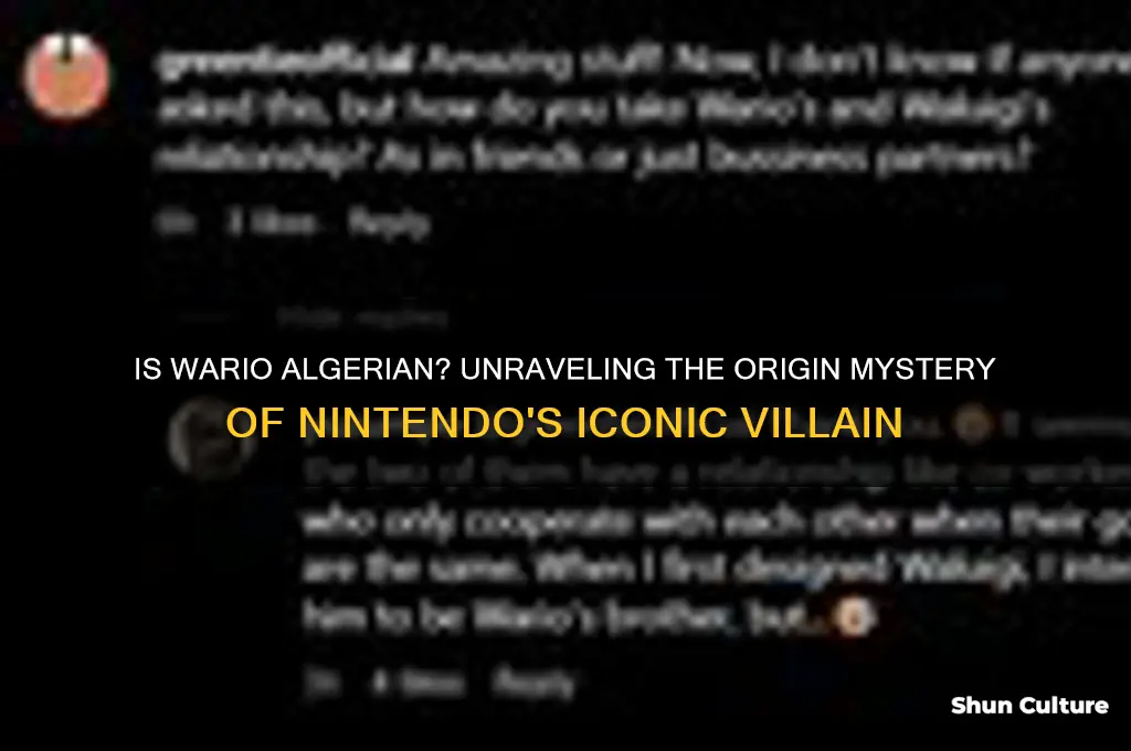 is wario algerian