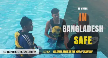 Is Bangladesh's Water Safe? Exploring Quality, Risks, and Solutions