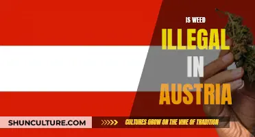 Weed in Austria: What's the Legal Status?