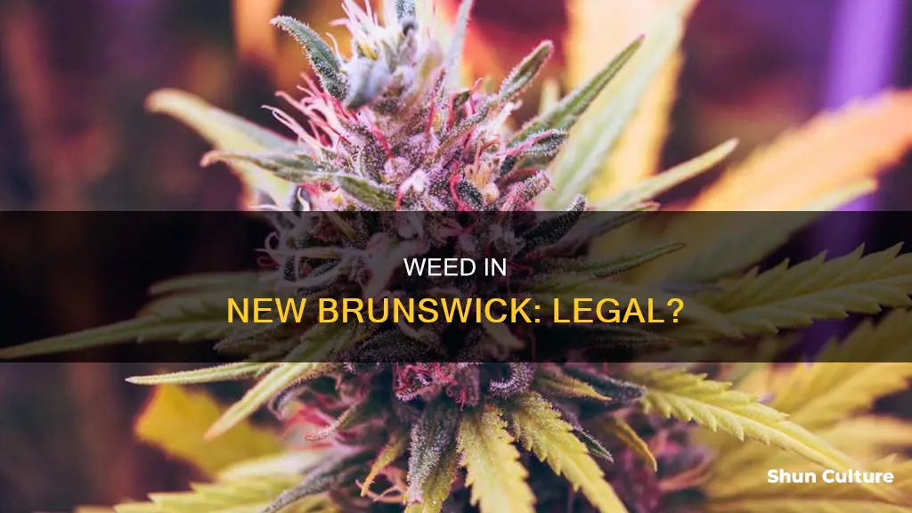 is weed illegal in nj new brunswick