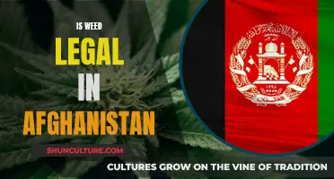 Weed in Afghanistan: Navigating Legal and Cultural Complexities