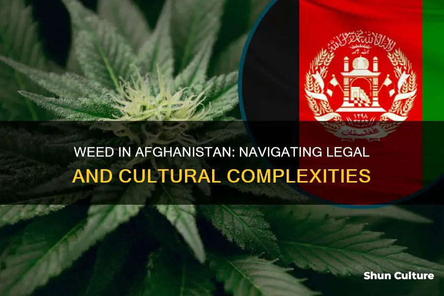 is weed legal in afghanistan