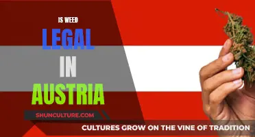 Weed Legality in Austria: What's the Current Status?