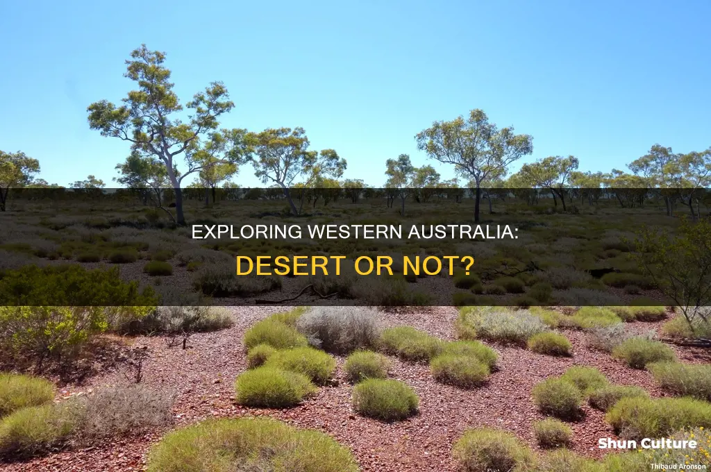 is western australia a desert