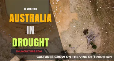 Western Australia's Water Crisis: Is It a Drought?