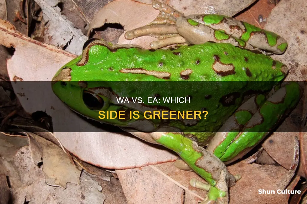 is western australia more green than eastern australia