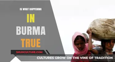 Unveiling the Truth: A Deep Dive into Burma's Current Affairs