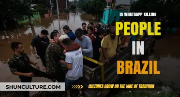 WhatsApp's Dark Side: Unraveling Brazil's Deadly Misinformation Crisis