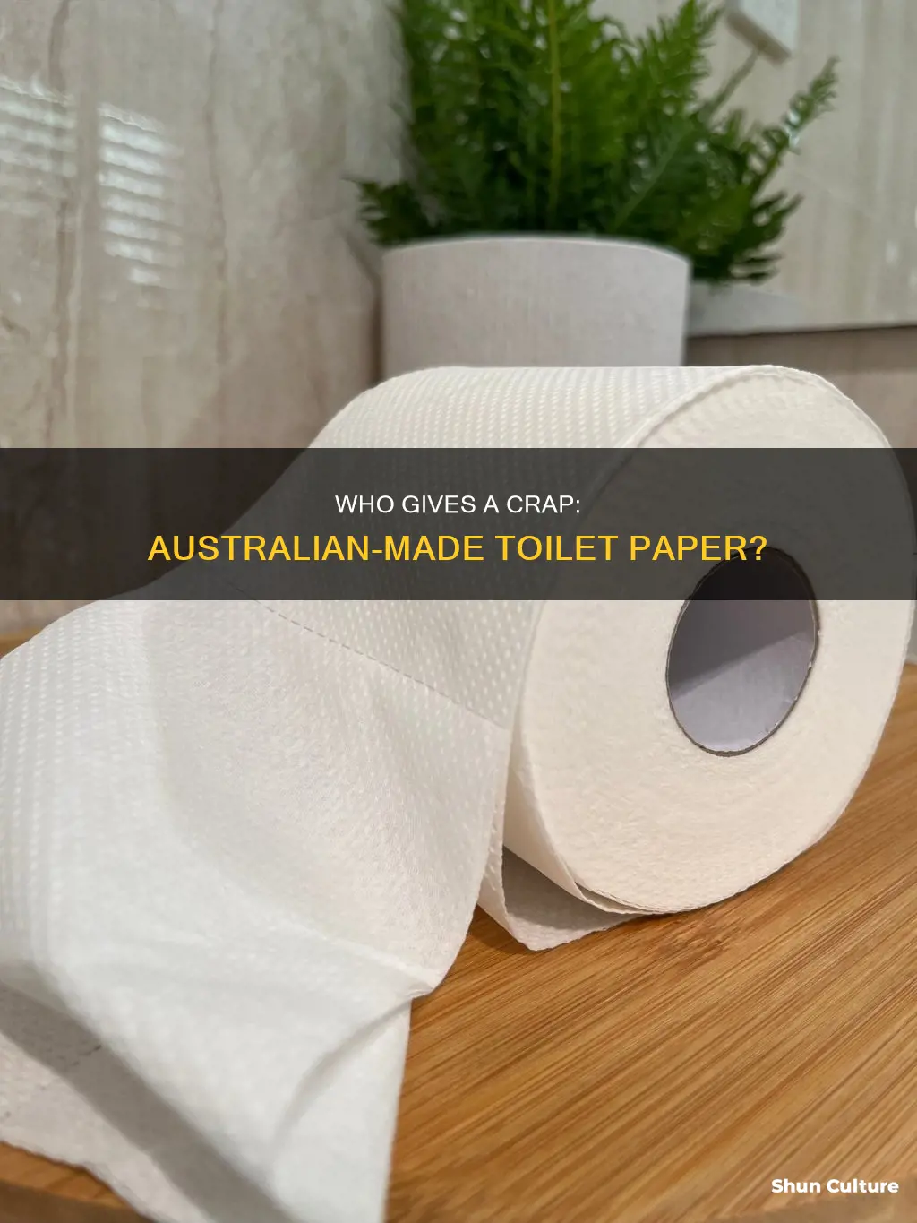 is who gives a crap toilet paper made in australia
