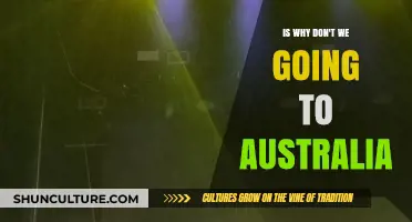 Why Don't We Australia Tour: Reasons, Rumors, and Fan Reactions