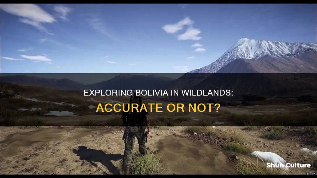 is wildlands version of bolivia accurate