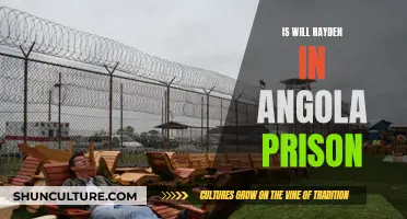 Hayden's Angola Prison Incarceration: What You Need to Know