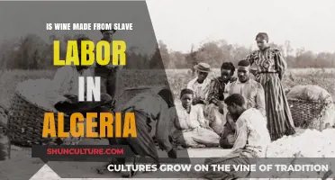Algerian Wine Industry: Uncovering the Truth About Slave Labor