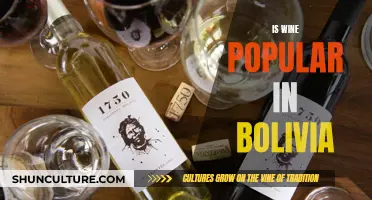 Wine Culture in Bolivia: Is It Popular?