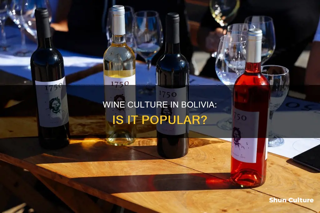 is wine popular in bolivia