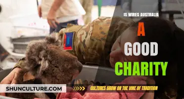 Wires Australia: Effective Charity or Not?