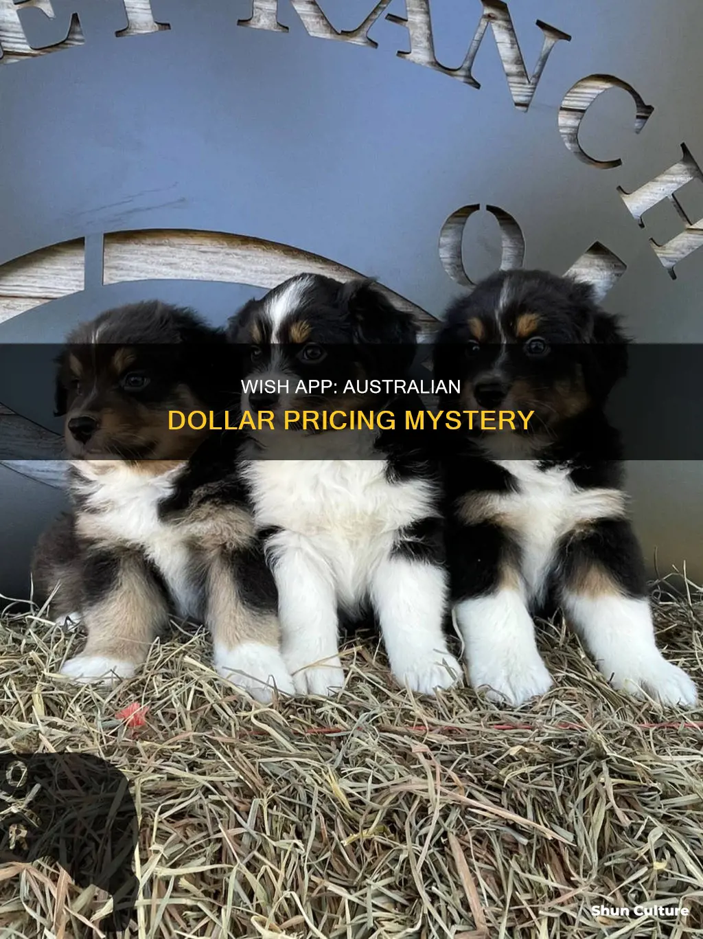is wish in australian dollars