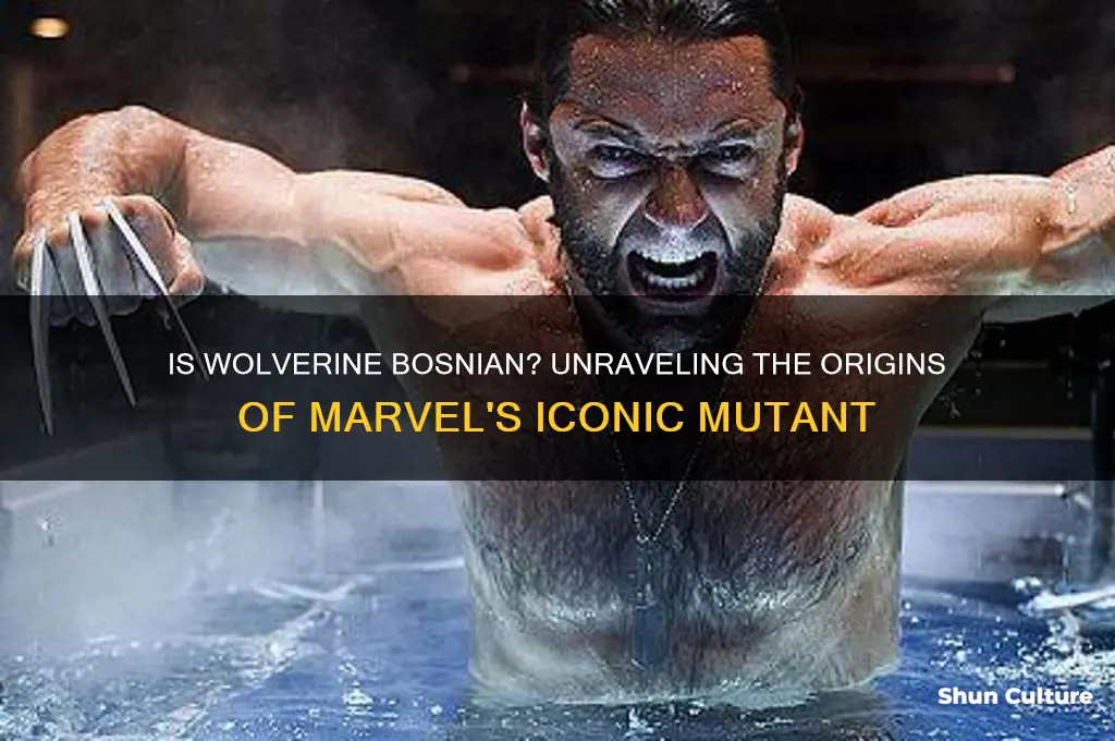 is wolverine bosnian