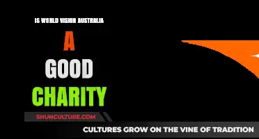 World Vision Australia: A Charity Worth Supporting?