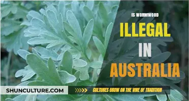 Wormwood's Legal Status in Australia: What You Need to Know