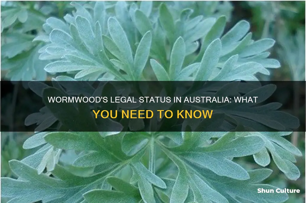 is wormwood illegal in australia