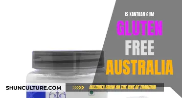Xanthan Gum: Gluten-Free Food Thickeners in Australia