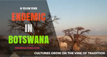 Is Yellow Fever a Persistent Threat in Botswana's Endemic Landscape?