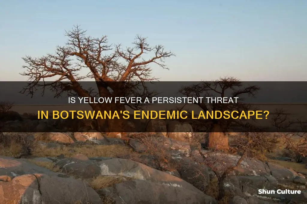 is yellow fever endemic in botswana