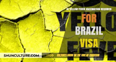 Brazil Visa Requirements: Is Yellow Fever Vaccination Mandatory?