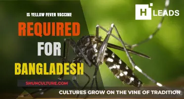 Is Yellow Fever Vaccine Mandatory for Travelers to Bangladesh?