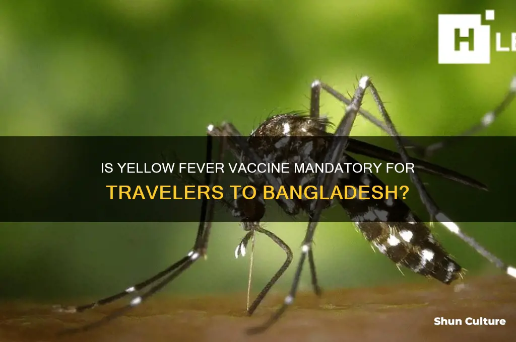 is yellow fever vaccine required for bangladesh