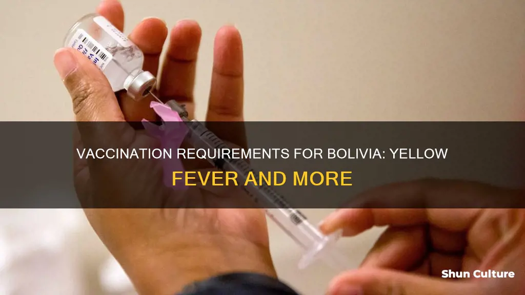 is yellow fever vaccine required for bolivia