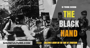 Young Bosnia and the Black Hand: Unraveling the Historical Connection