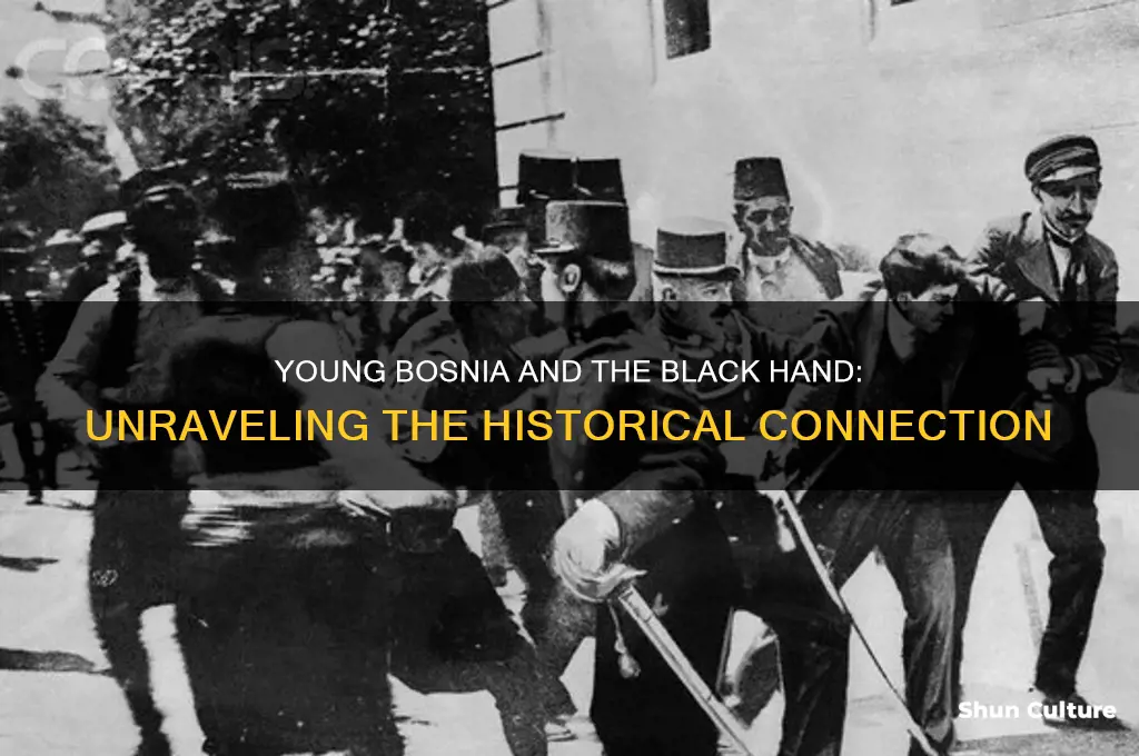 is young bosnia the black hand