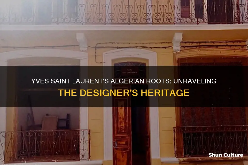 is yves saint laurent algerian