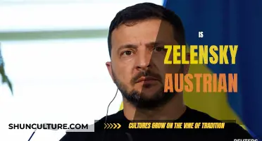 The Truth About Zelensky's Roots: Austrian or Not?