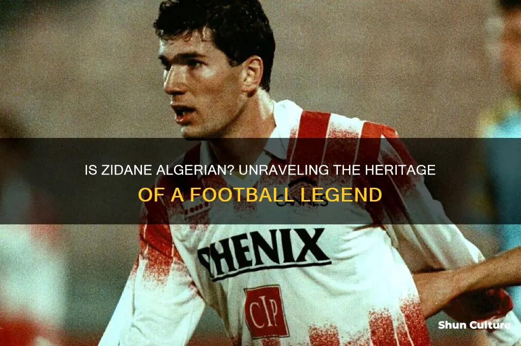 is zidane algerian
