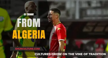 Is Zidane Algerian? Unraveling the Roots of a Football Legend