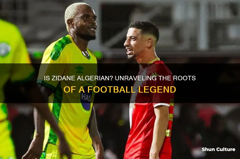 is zidane from algeria