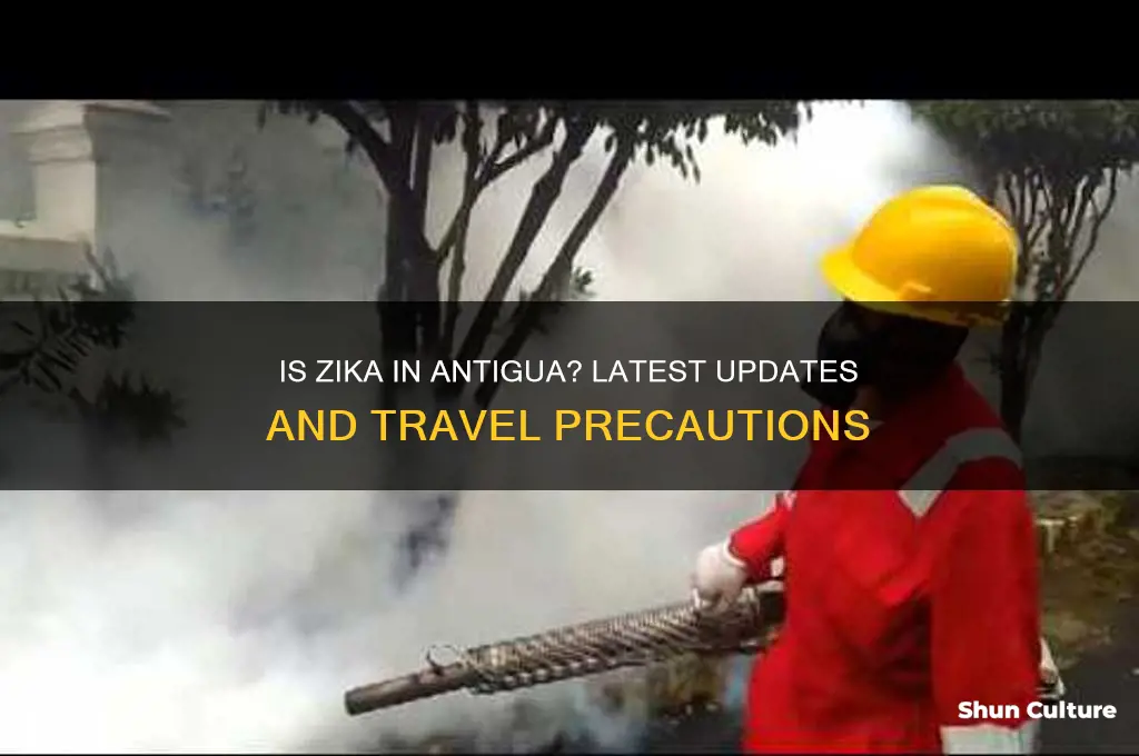 is zika in antigua yet