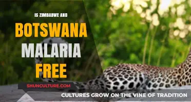 Exploring Malaria-Free Zones: Zimbabwe and Botswana's Health Status Revealed